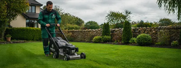 Lawn Care Guide
