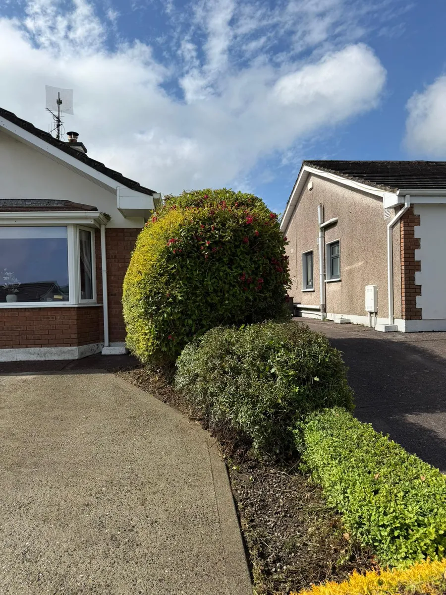 Front driveway path landscaping and professional hedge trimming service