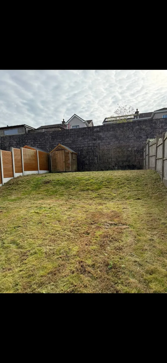 Fresh roll turf grass sod laying for a new backyard lawn